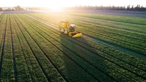 Ein Erntefahrzeug auf einem riesigen Feld