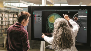 Zwei Personen blicken auf einen großen Bildschirm auf dem ein Gehirn gezeigt wird.