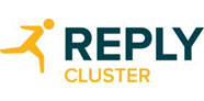 Logo der Firma Cluster Reply