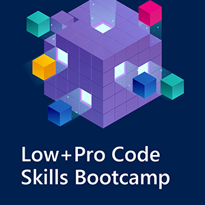 Low+Pro Code Skills Bootcamp