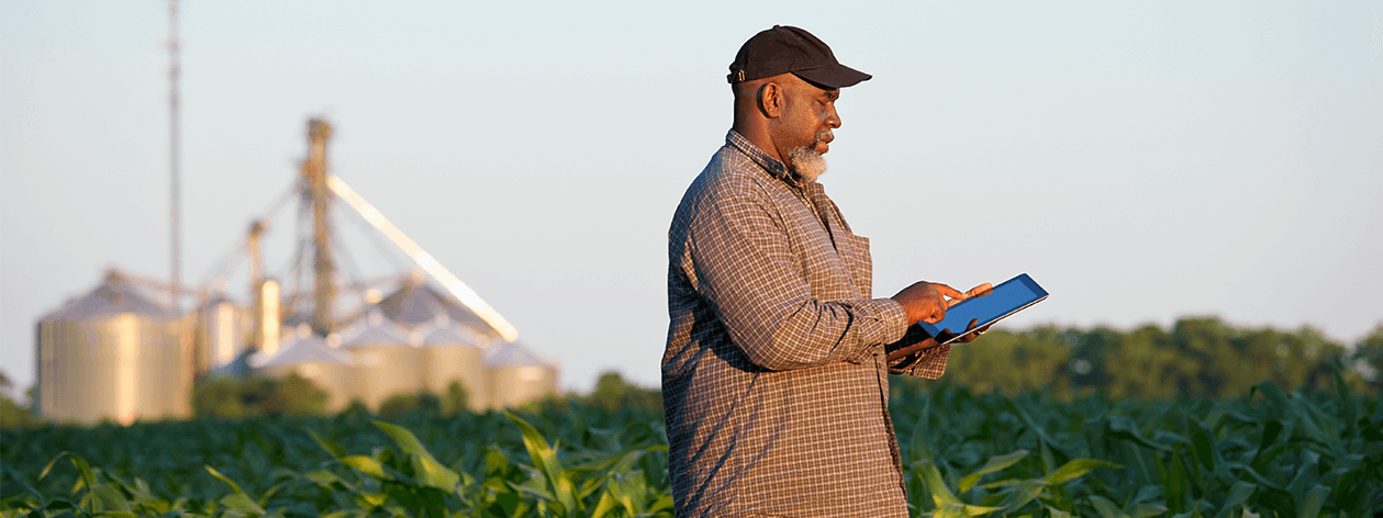 Man with tablet in the middle of corn field.