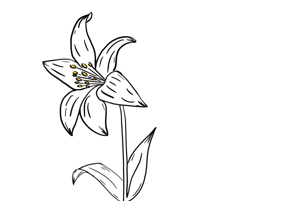 Flower doodle created on Microsoft Surface