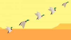 Illustration of ducks flying up into the sky