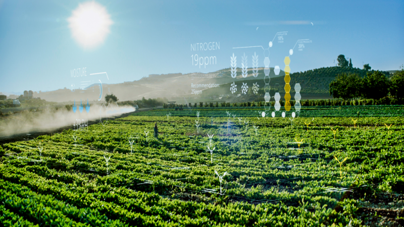 Photography depicts Microsoft‘s FarmBeats technology uses AI and IoT to help increase farm productivity.