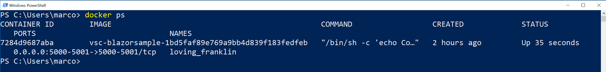 A 'docker ps' command showing the running container we are currently using.