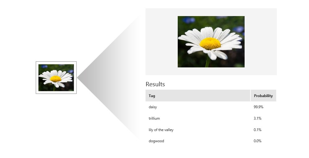 Machine learning determining that a photo of a daisy is a photo of a daisy.