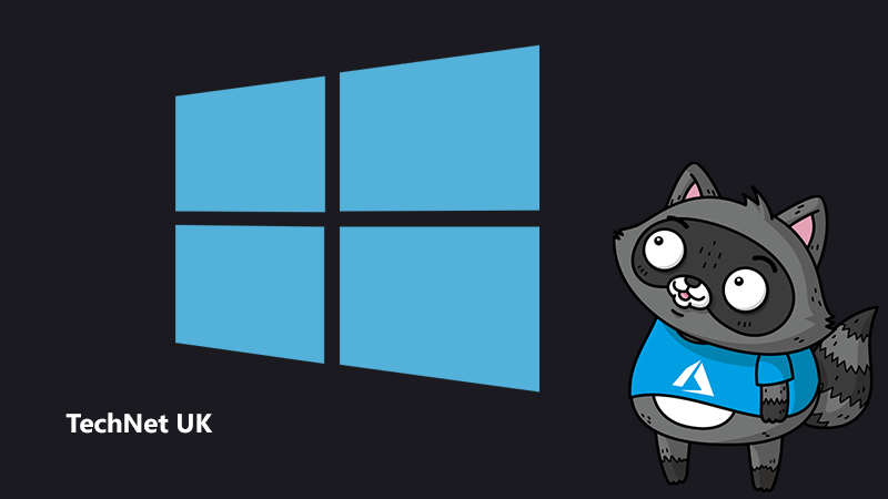 An image of the Windows logo, beside an illustration of Bit the Raccoon.