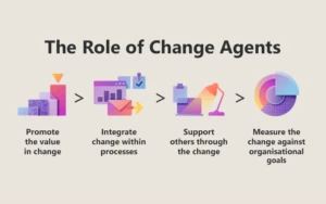 The role of the change agent