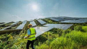 Solar energy technician surveying photovoltaic panels in a grassy field.