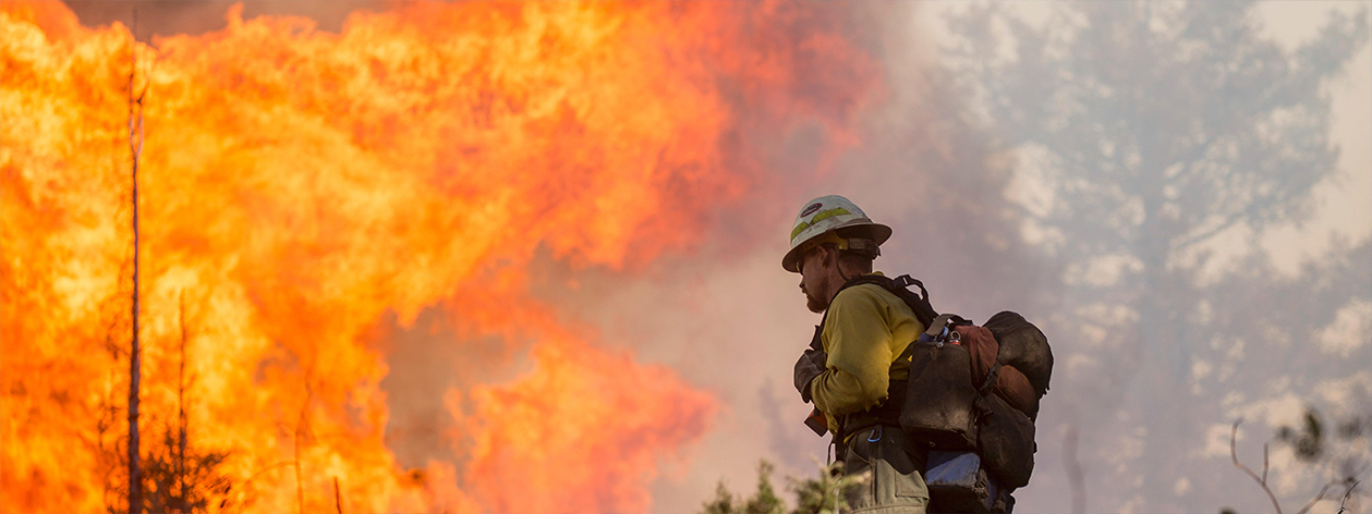 Firefighter in full gear walks towards a raging forest fire