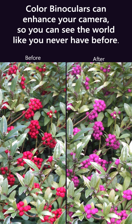 Comparison photo of flowers with and without the Color Binoculars app