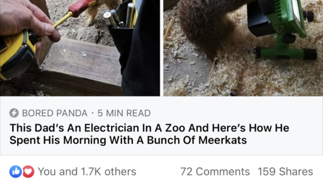 Facebook uses existing public interaction data as feedback.