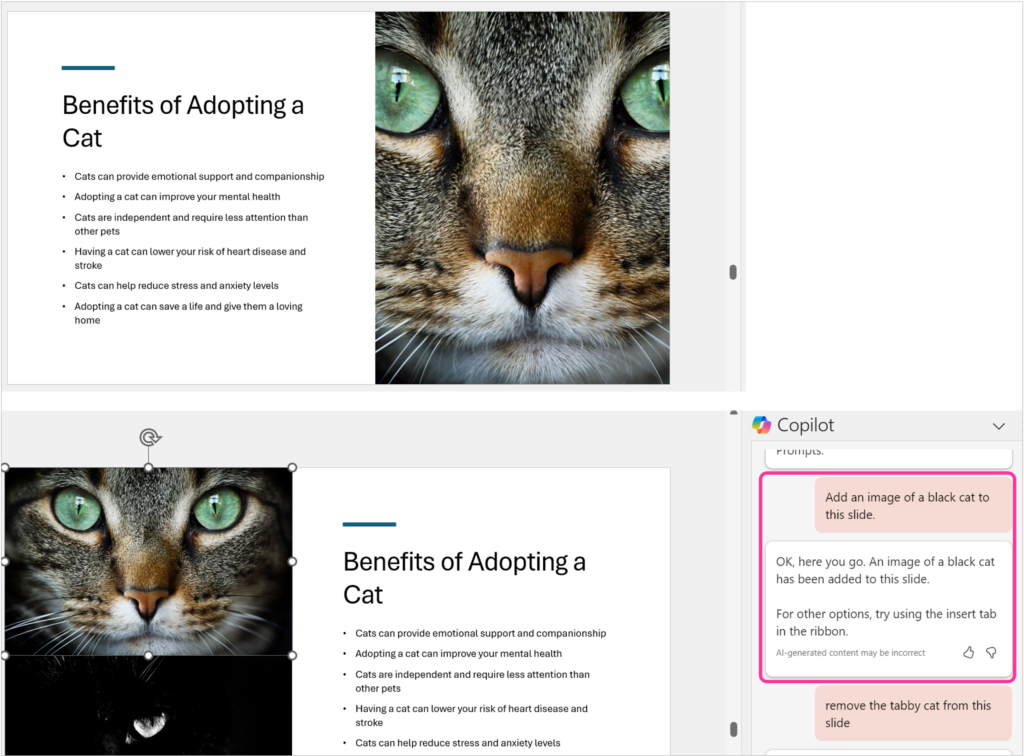 2 PowerPoint slides about Benefits of adopting a cat. Copilot in PowerPoint pane showing user prompts – add an image of black cat to this slide. Copilot’s response – OK, here you go. An image of a black cat has been added to this slide. For other options, try using insert tab in the ribbon.