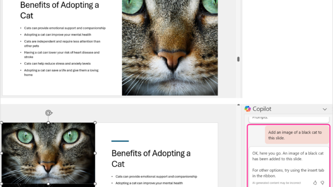 2 PowerPoint slides about Benefits of adopting a cat. Copilot in PowerPoint pane showing user prompts – add an image of black cat to this slide. Copilot’s response – OK, here you go. An image of a black cat has been added to this slide. For other options, try using insert tab in the ribbon.