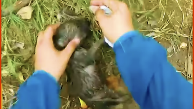 Facebook gradually updates its "Suggested for You" posts.