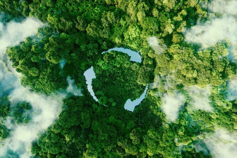 Looking down on dense tree canopy can be seen whisps of clouds and three bodies of water, vaguely resembling arrows following each other in a circle.
