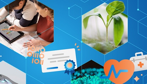 Waben mit verschiedenen Motiven (Kinder, Pflanzen) auf blauem Hintergrund