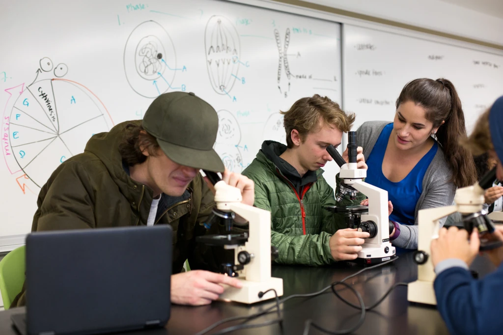 Students examine through microscopes in lab learning environment.
