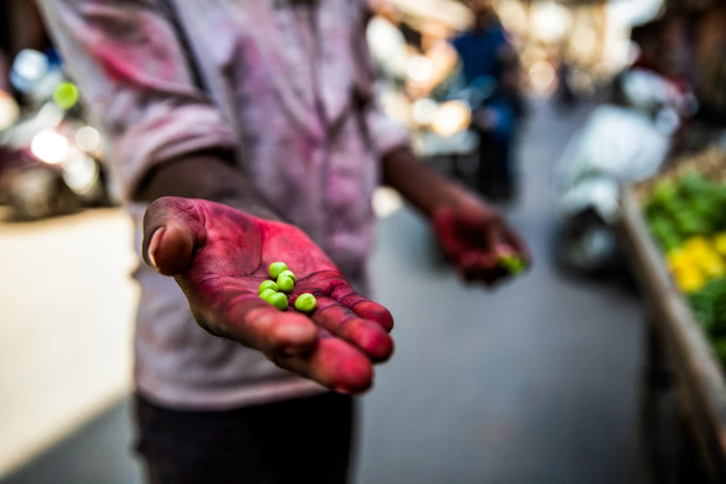 A man holds green peas in his palm, which is stained red from handling betel nuts.