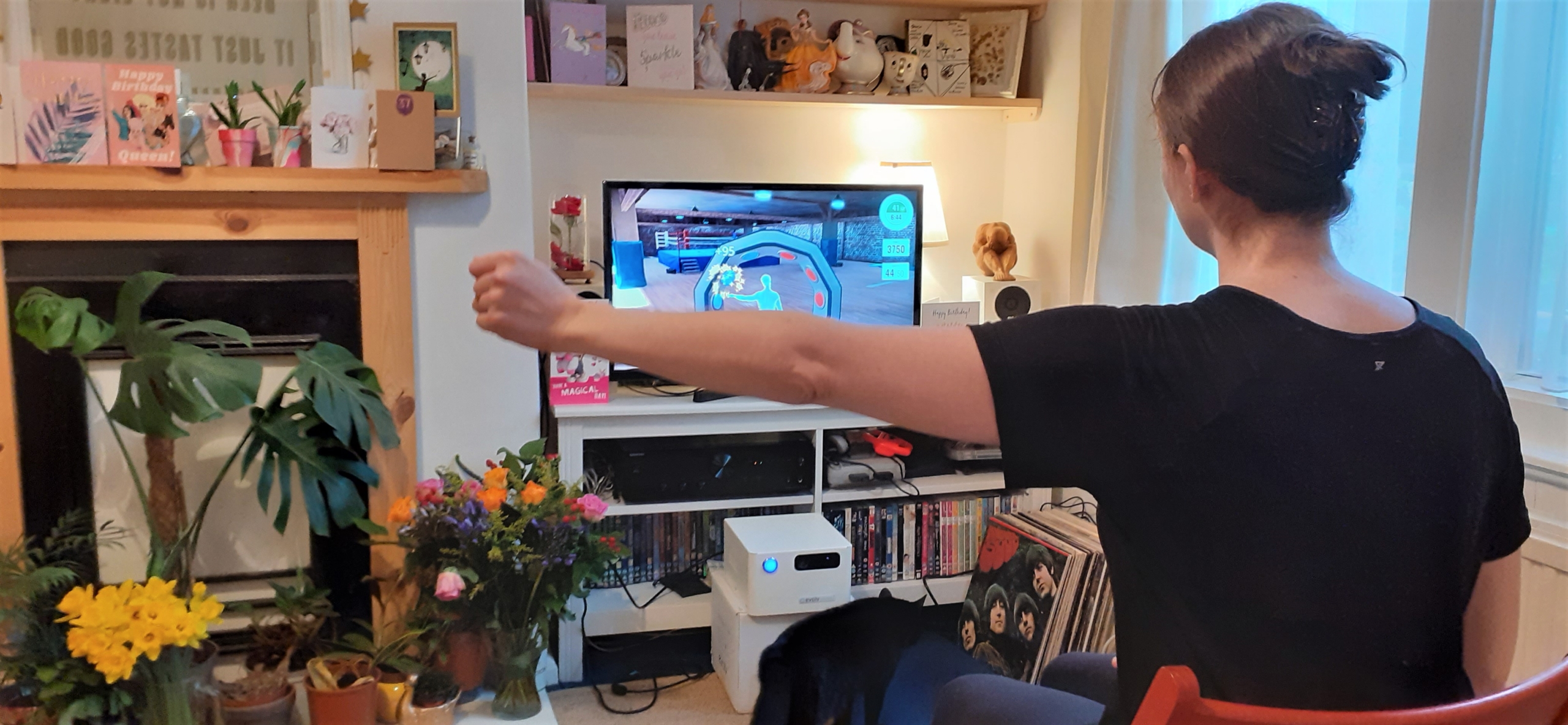 A photo of someone using EvolvRehab on a TV inside their home.