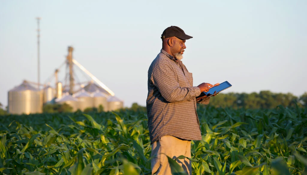 Black farmer with digital tablet in crop field, doing digital banking.