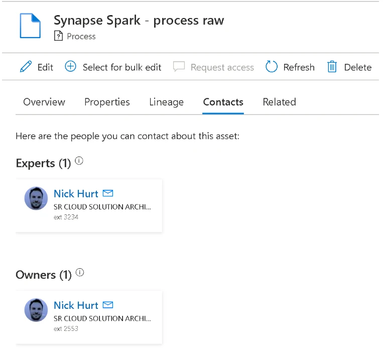 A screenshot showing Nick listed as both an expert and an owner.