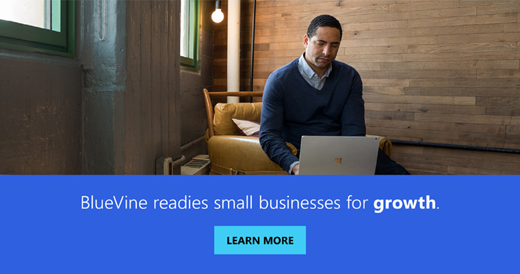 BlueVine readies small businesses for growth: learn more