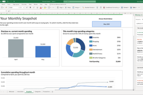 Microsoft Excel monthly snapshot dashboard