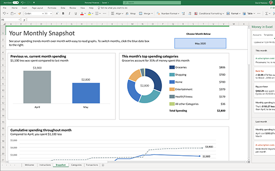 Microsoft Excel monthly snapshot dashboard