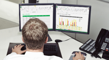 View Excel workbooks side by side.