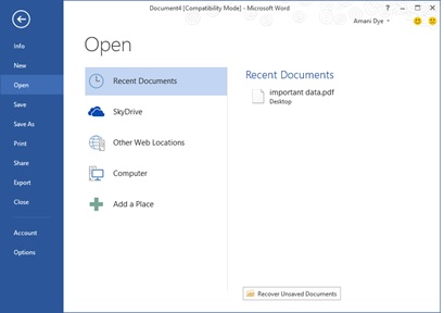 Screenshot of the Open place in Word