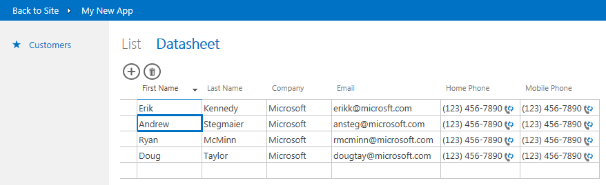 The default datasheet view.