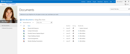 SkyDrive Pro document folder viewed in browser