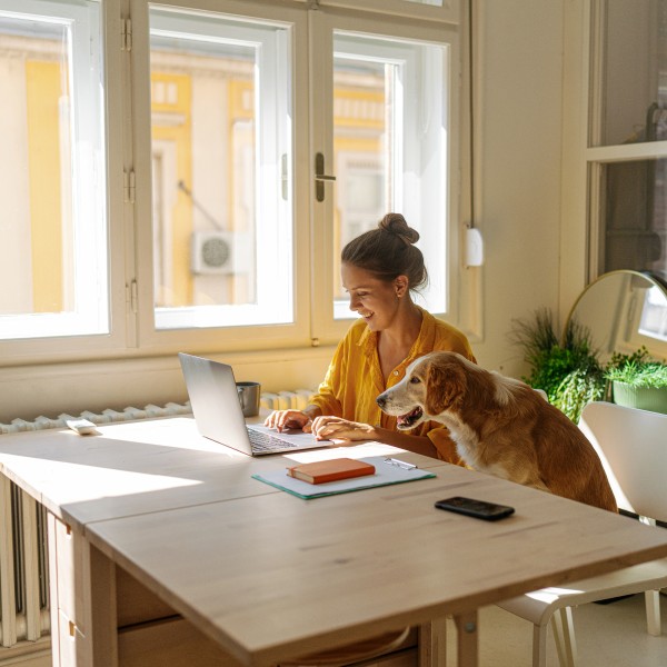 Woman working from her home office. She is using a laptop and her pet dog is sitting a chair next to her.