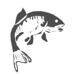 Aquaponic Stage 3: Fish