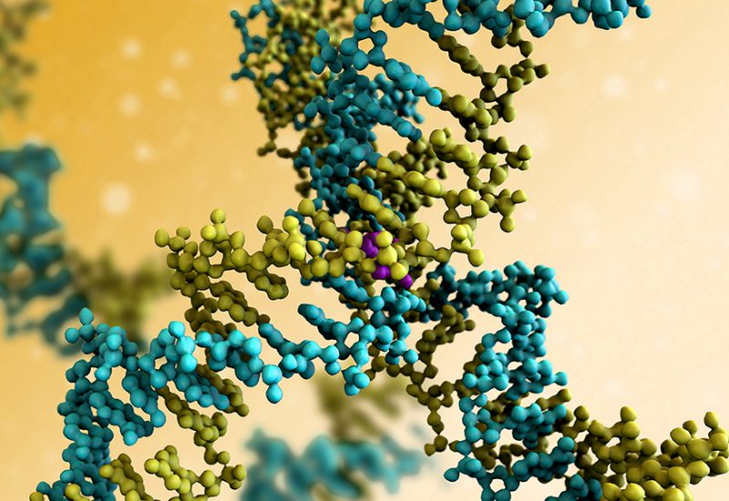 Helping proteomics scientists share peptide data