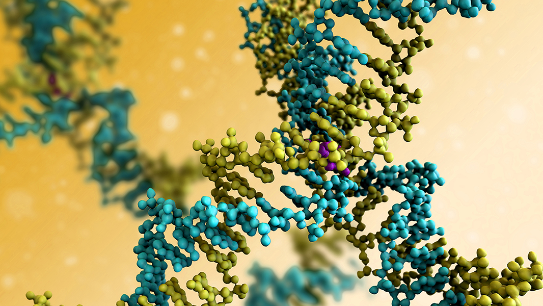 Helping proteomics scientists share peptide data