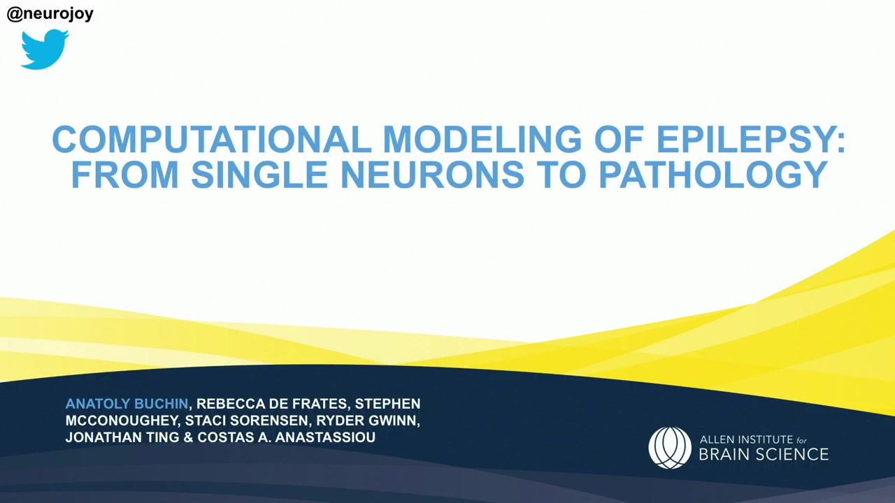 Computational Modelling of Human Epilepsy: from Single Neurons to ...