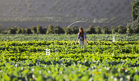 photo of a woman walking through an agricultural farm with an overlay of AI data points