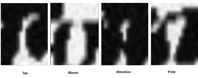 Hand gesture images, obtained with the ultrasound sensing device for gesture recognition.