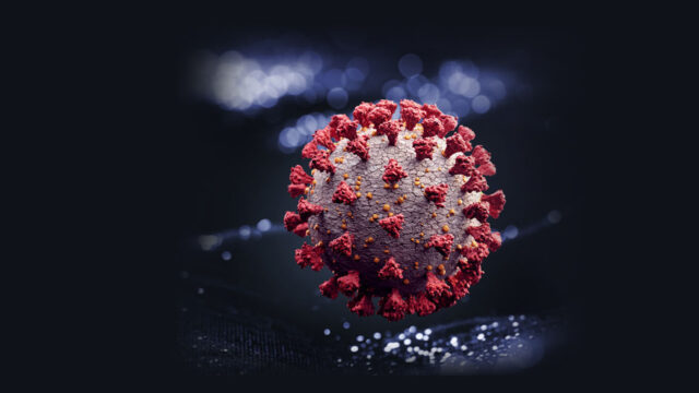 microscopic image of coronavirus COVID-19