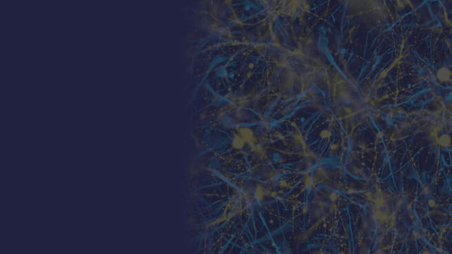 CVPR 2021 header: organic network on dark background