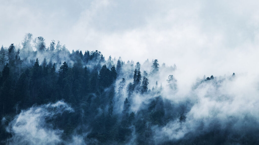 fog or smoke rising from a forested hillside