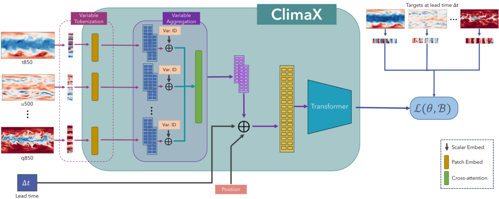 ClimaX neural net architecture
