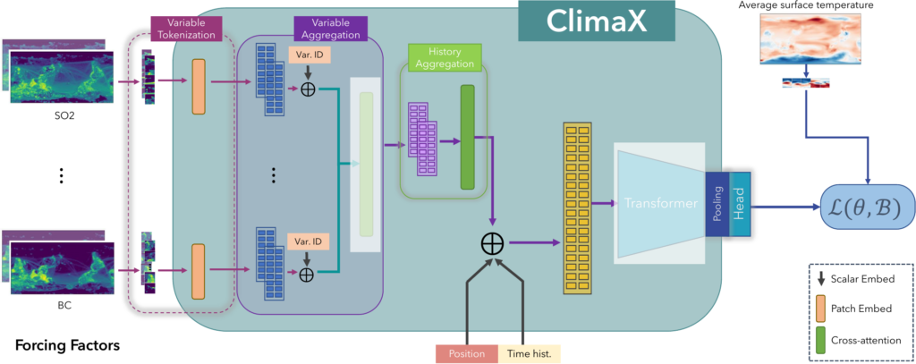 schematic diagram for how ClimaX can be finetuned for downstream applications