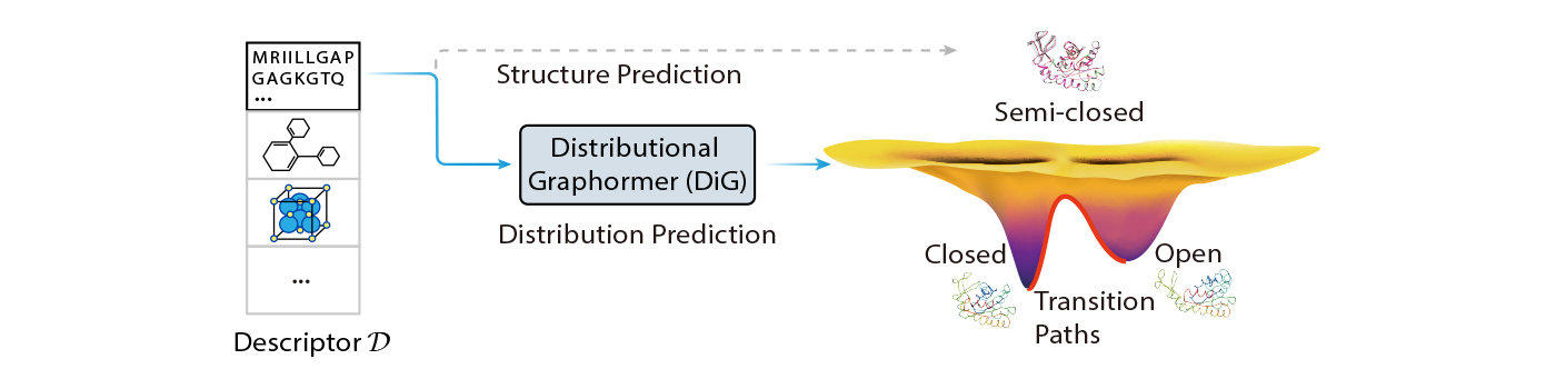 A schematic diagram illustrating the goal of Distributional Graphormer (DiG). A molecular system is represented by a basic descriptor D, such as the amino acid sequence for a protein. DiG transforms D into a structural ensemble S, which consists of multiple possible conformations and their probabilities. S is expected to follow the equilibrium distribution of the molecular system. A legend shows a example of D and S for Adenylate kinase protein.