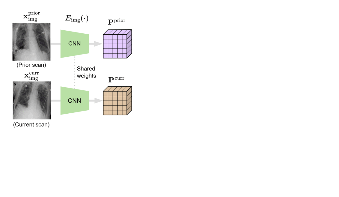 An animated flowchart of BioViL-T. Arrows direct from a prior chest x-ray and current chest x-ray  through boxes labeled “CNN” to image embeddings, illustrated by a purple cube and a brown cube, respectively, representing relevant spatial and temporal features. An arrow points from these features through a box labeled “Vision Transformer Blocks” to a “difference embedding,” represented by a blue cube. A curly bracket pointing to a brown and blue cube labeled “image features” indicates the aggregation of the current image embedding and the difference embedding. Arrows from the “image features” cube and from an extract from a radiology report point to a text model, represented by box labeled “CXR-BERT.” 