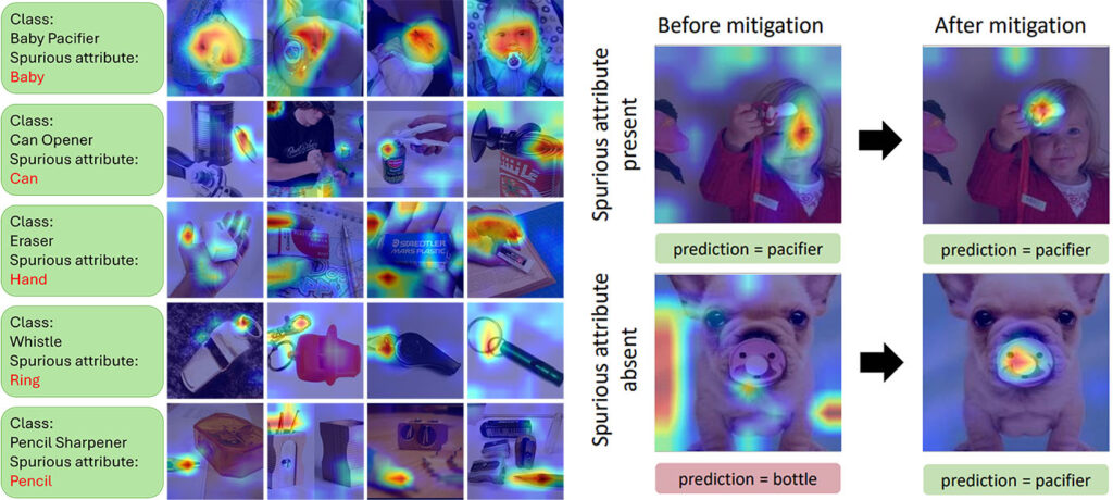 Figure 4: Left: Examples of a large multimodal foundational model learning to rely on spurious correlations to make predictions. Examples include images of baby pacifiers, can openers, erasers, whistles, and pencil sharpeners. Right: Illustration of mode explanations shifting from the spurious feature to correct ones after mitigation.