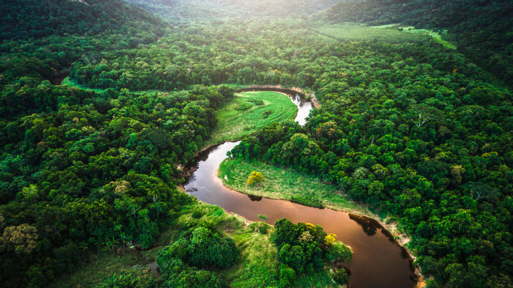 River flowing through the Amazon