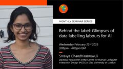 Behind the label: Glimpses of data labelling labours for AI